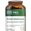 Reishi Mushroom - Dual-extracted organic Reishi fruiting body extract for immune and heart health.