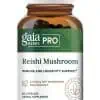 Reishi Mushroom - Dual-extracted organic Reishi fruiting body extract for immune and heart health.