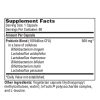 Ther-Biotic Leaky Gut (Factor 6) - 100 billion CFU probiotic for gut barrier and immune support.