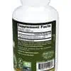 Jarrow Formulas Artichoke 500mg -- liver health, digestion support - Back