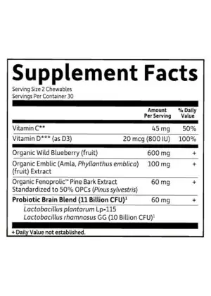 Garden of Life Dr. Formulated Brain Health Organic Attention/Focus Kids -- children's focus supplement, - Back