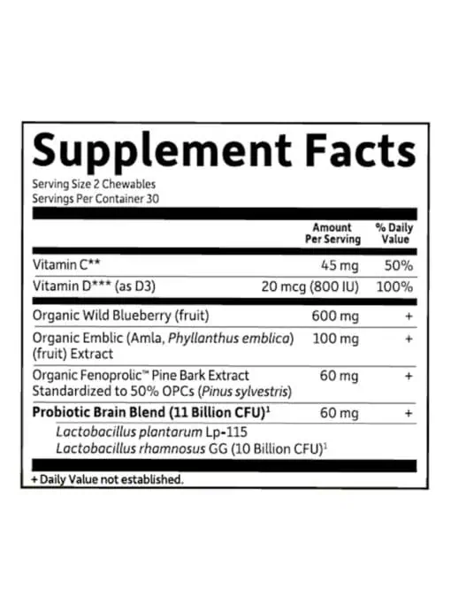 Garden of Life Dr. Formulated Brain Health Organic Attention/Focus Kids -- children's focus supplement, - Back