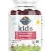 Garden of Life kids immune gummy — vitamins C, D & zinc, immune support