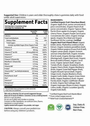 Garden of Life mykind Organics Kids Multi Gummies — organic gummies, kids vitamins - Back