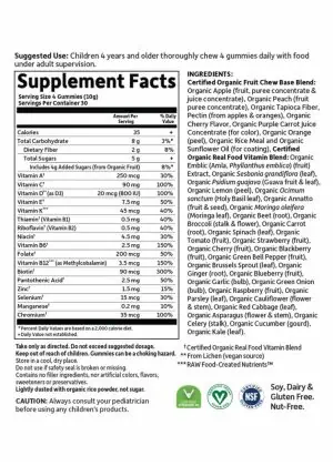Garden of Life mykind Organics Kids Multi Gummies — organic gummies, kids vitamins - Back