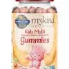 Garden of Life mykind Organics Kids Multi Gummies — organic gummies, kids vitamins