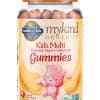 mykind Organics Kids Multi Gummies — Organic Fruit, Whole Food Vitamins