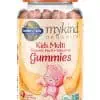 mykind Organics Kids Multi Gummies — Organic Fruit, Whole Food Vitamins