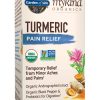 Garden of Life Turmeric Pain Relief — Organic Turmeric, Andrographis Extract
