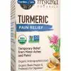 Garden of Life Turmeric Pain Relief — Organic Turmeric, Andrographis Extract