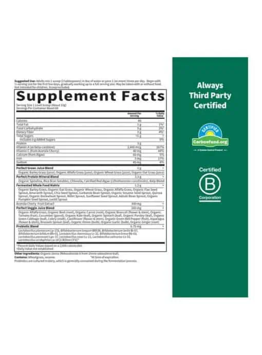 Garden of Life Perfect Food Super Green Formula — Nutrient-dense superfoods, Organic ingredients - Back