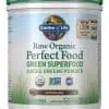Garden of Life Raw Organic Perfect Food — Green Superfood, Nutrient-Dense Greens