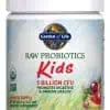 Garden of Life RAW Probiotics Kids -- organic probiotics, children's health