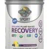 Garden of Life SPORT Organic Plant-Based Recovery Blackberry Lemonade -- post workout recovery, organic