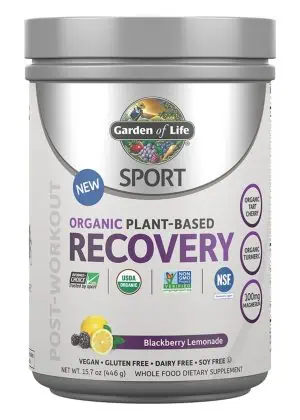 Garden of Life SPORT Organic Plant-Based Recovery Blackberry Lemonade -- post workout recovery, organic