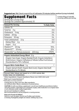 Garden of Life SPORT Organic Pre-Workout Energy + Focus Blackberry -- pre-workout energy, organic focus - Back