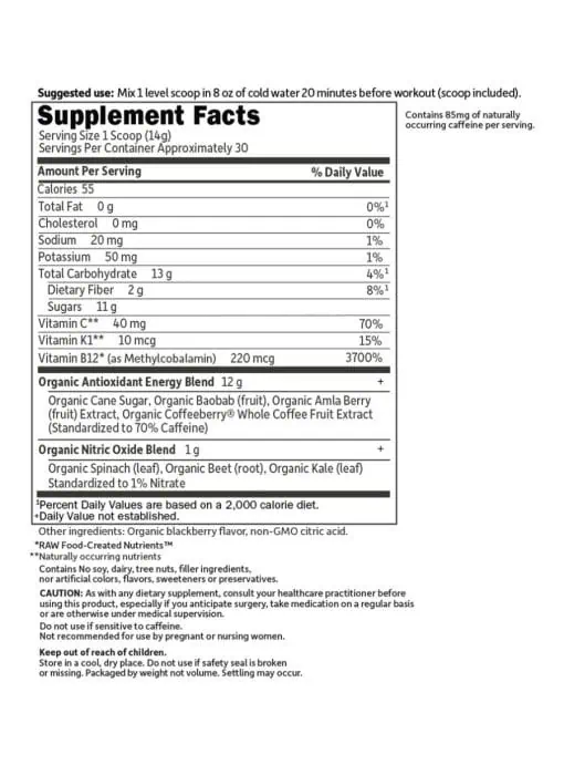 Garden of Life SPORT Organic Pre-Workout Energy + Focus Blackberry -- pre-workout energy, organic focus - Back