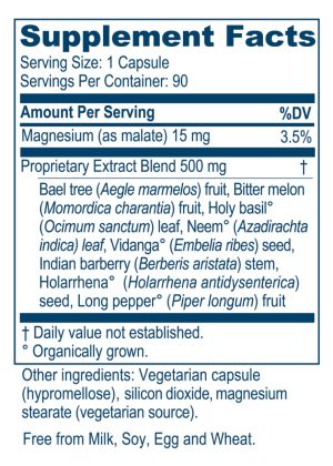 Ayush Herbs AP Traveler -- gastrointestinal health, digestive support. - Back