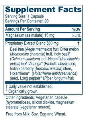Ayush Herbs AP Traveler -- gastrointestinal health, digestive support. - Back
