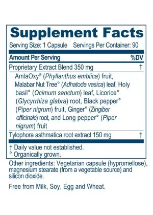 Ayush Herbs BronchoTone -- lung support, respiratory health. - Back
