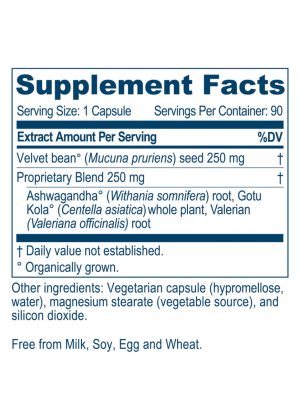 Ayush Herbs Macuna Plus -- mood support, nervous system health. - Back