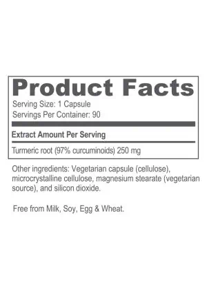 Ayush Herbs Pet Curcumin 97% -- turmeric supplement, antioxidant support. - Back