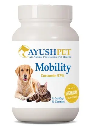 Ayush Herbs Pet Curcumin 97% -- turmeric supplement, antioxidant support.