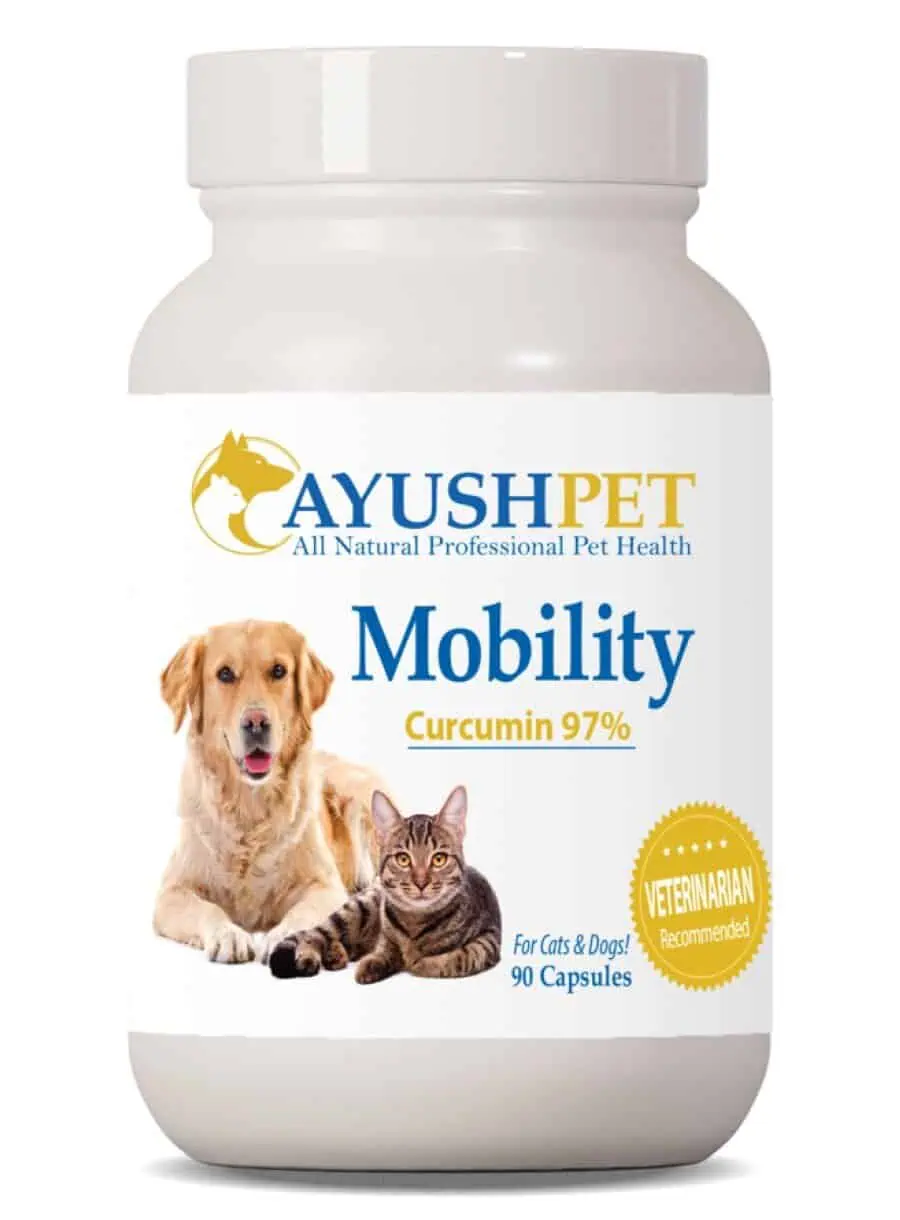 Ayush Herbs Pet Curcumin 97% -- turmeric supplement, antioxidant support.