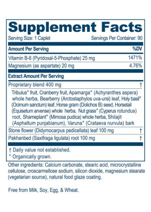 Ayush Herbs Rentone(TM) -- kidney support, urinary health. - Back