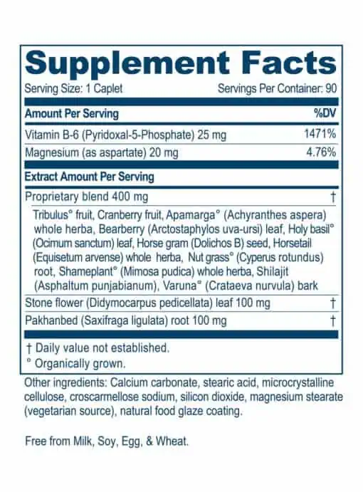 Ayush Herbs Rentone(TM) -- kidney support, urinary health. - Back