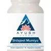 Ayush Herbs Shilajeet Mumiyo -- natural minerals, immune support.