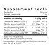 Allergy Research Group Bifido Biotics -- friendly bacteria, gut health. - Back