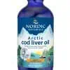 Nordic Naturals Pro Arctic Cod Liver Oil Orange -- fish oil, omega-3