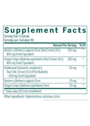 Seroyal/Genestra Berberis Formula -- herbal supplement, vegan capsules. - Back