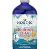 Nordic Naturals Children's DHA -- omega-3 supplement, fish oil for kids.