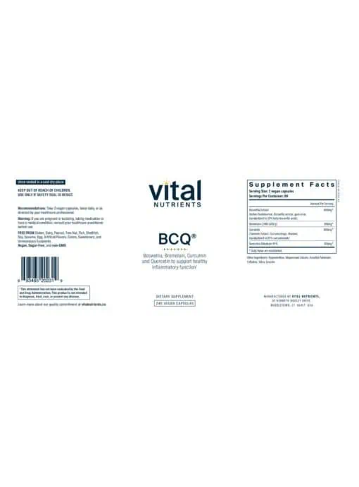BCQ: Bromelain, Curcumin and Quercetin - Image 2