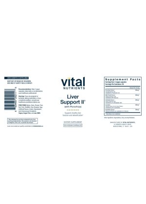 Alternative view of Liver Support II