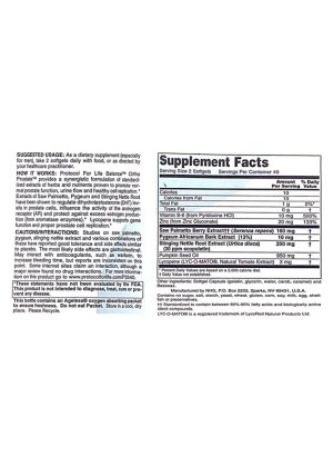 Alternative view of Ortho Prostate