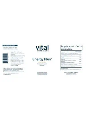 Alternative view of Energy Plus
