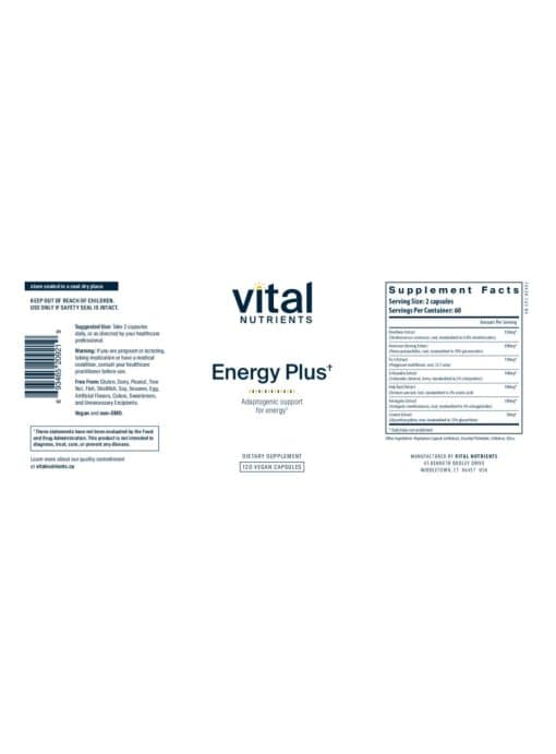 Energy Plus - Image 2