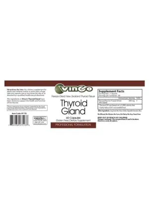 Alternative view of Thyroid Gland