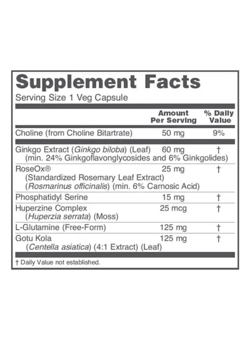 Brain Regain - Image 3