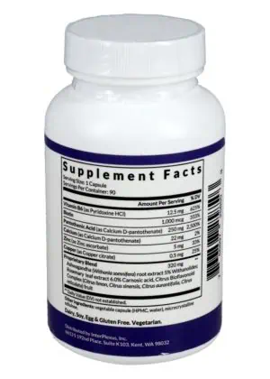 Alternative view of Adapt