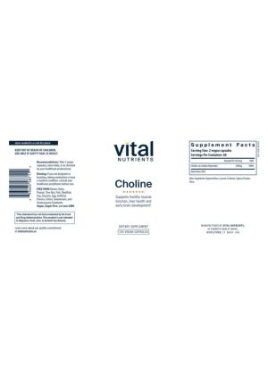 Alternative view of Choline