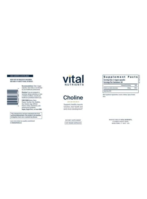 Choline - Image 2