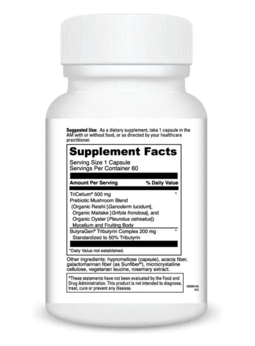 Prebiotic Mushroom Blend - Image 3