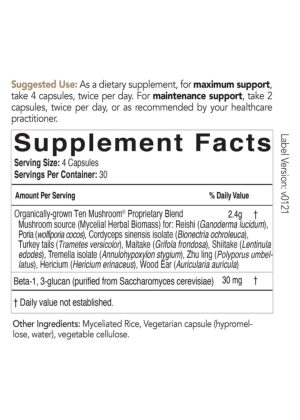 Alternative view of Ten Mushroom Formula