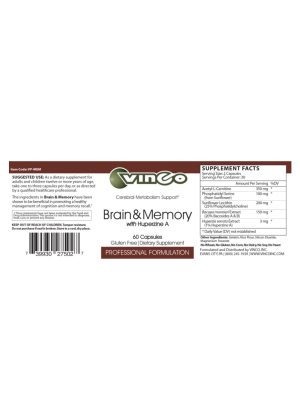 Alternative view of Brain & Memory