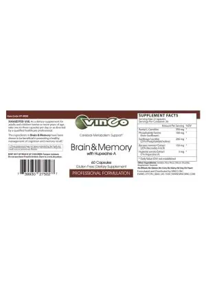 Alternative view of Brain & Memory