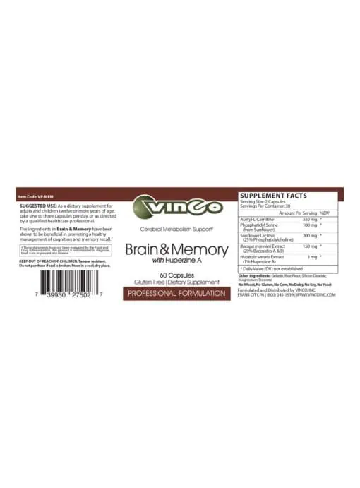 Brain & Memory - Image 2